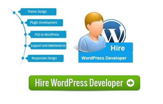 wordpress-Developer-Pixel Values Technolabs